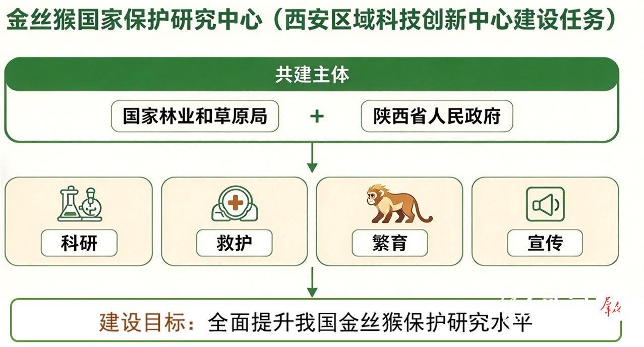 中心架构。