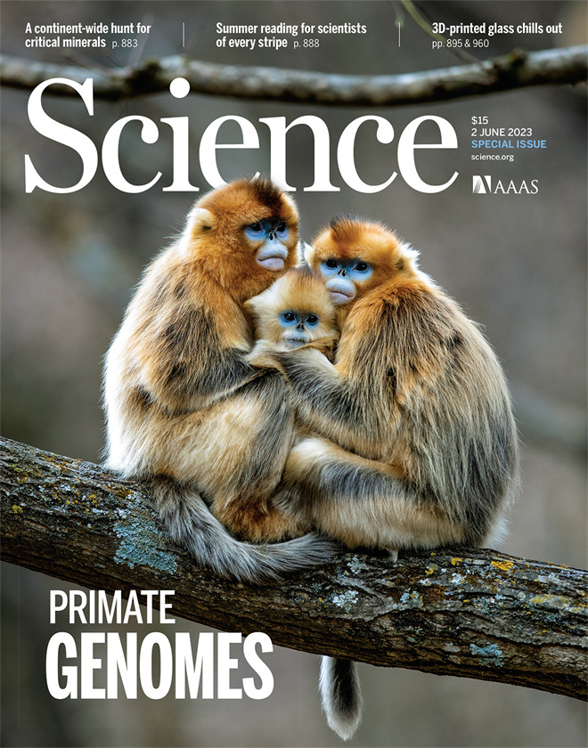 Science封面文章：西北大学金丝猴研究团队首次系统揭示灵长类社会演化之谜_fororder_《自然》封面.JPG